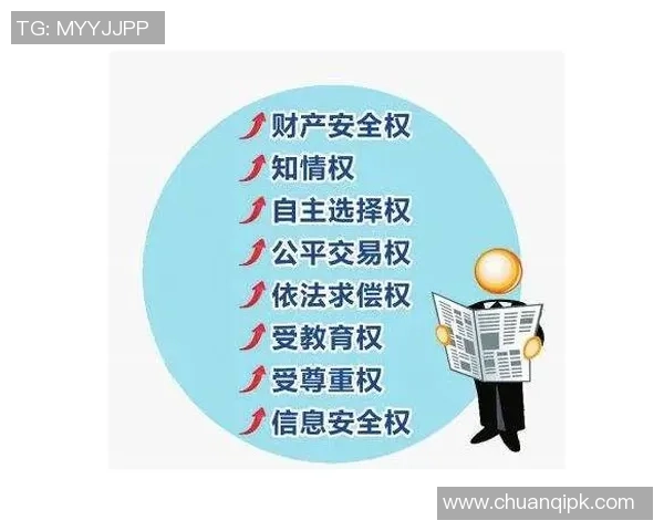 区域版权独家性与反垄断对消费者选择权的影响与平衡探讨